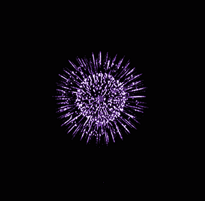 Firework