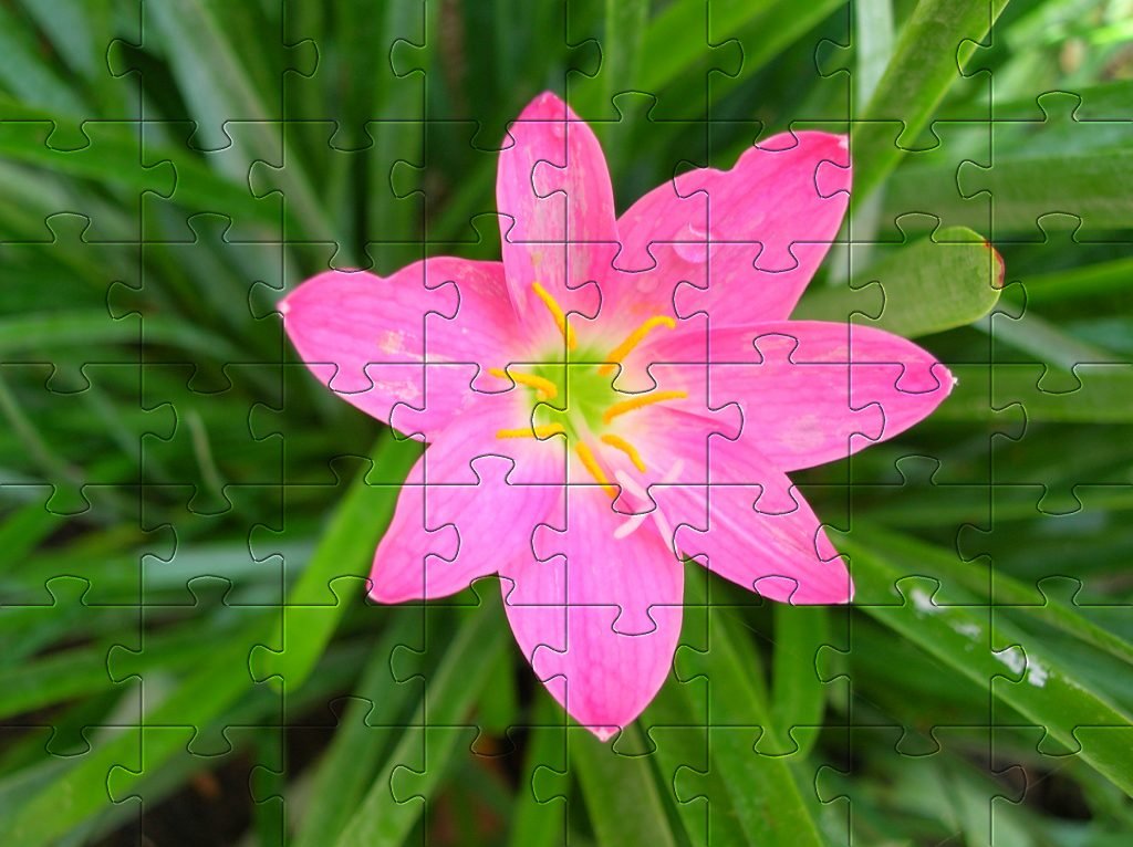 அஷ்டகவர்க்கம்